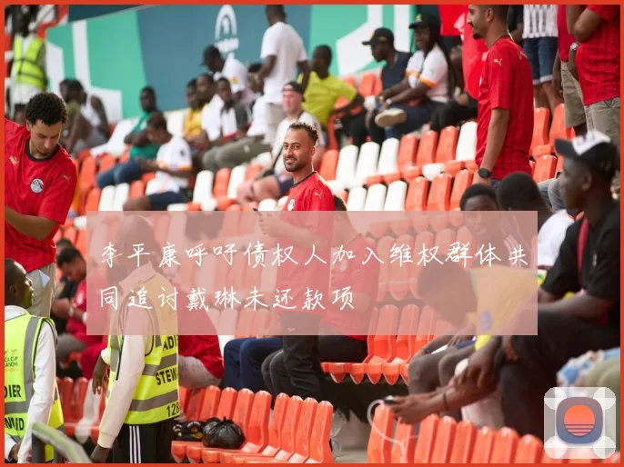 李平康呼吁债权人加入维权群体共同追讨戴琳未还款项