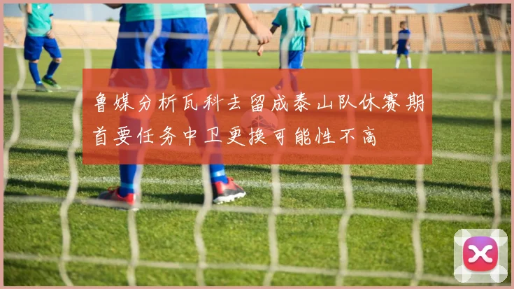 鲁媒分析瓦科去留成泰山队休赛期首要任务中卫更换可能性不高