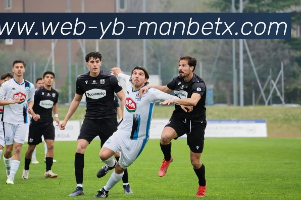 浙江队近三次中超对阵泰山遭遇惨败每场至少失三球的尴尬纪录